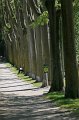HP_Italien_060