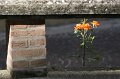 HP_Italien_067