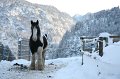 IMG_Königssee_Jan.11_35