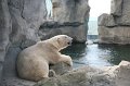 Bremen_Bremerhaven_49