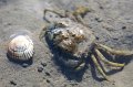 Duhnen_Cuxhaven_15