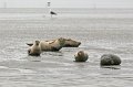 Duhnen_Cuxhaven_44