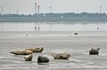 Duhnen_Cuxhaven_46