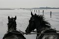 Duhnen_Cuxhaven_51