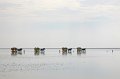 Duhnen_Cuxhaven_52