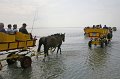 Duhnen_Cuxhaven_54