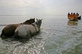 Duhnen_Cuxhaven_56