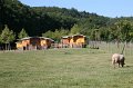 IMG_2933