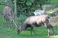 IMG_2963