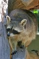 IMG_3022