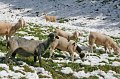 Herbsturlaub_011