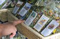 Herbsturlaub_045