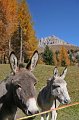 Herbsturlaub_061