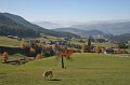 Herbsturlaub_073