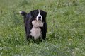 Herbsturlaub_076