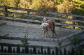Herbsturlaub_077