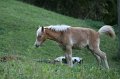 Herbsturlaub_078