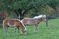 Herbsturlaub_079