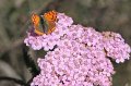 Herbsturlaub_095