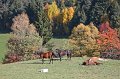 Herbsturlaub_097