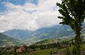 IMG_0774