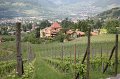 IMG_0776