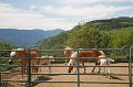 IMG_0899