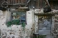IMG_0917