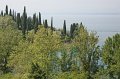 IMG_0996
