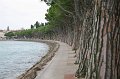 IMG_1115