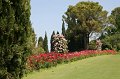 IMG_1163