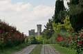 IMG_1165