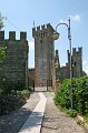 IMG_1196
