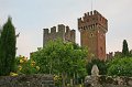 IMG_1272