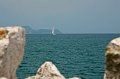 IMG_1356