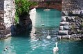 IMG_1372