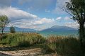 IMG_1390