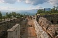 IMG_1411