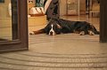 IMG_1469