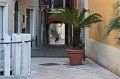 IMG_1471