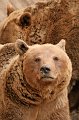 Zoo_Pilsen_CZ_08