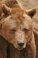 Zoo_Pilsen_CZ_09