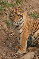 Zoo_Pilsen_CZ_11