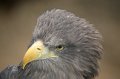 Zoo_Pilsen_CZ_31
