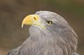 Zoo_Pilsen_CZ_33