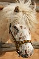 Zoo_Pilsen_CZ_35