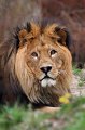 Zoo_Pilsen_CZ_39