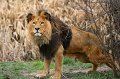 Zoo_Pilsen_CZ_41