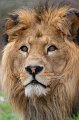 Zoo_Pilsen_CZ_43