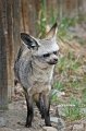 Zoo_Pilsen_CZ_44